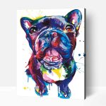 Francia bulldog