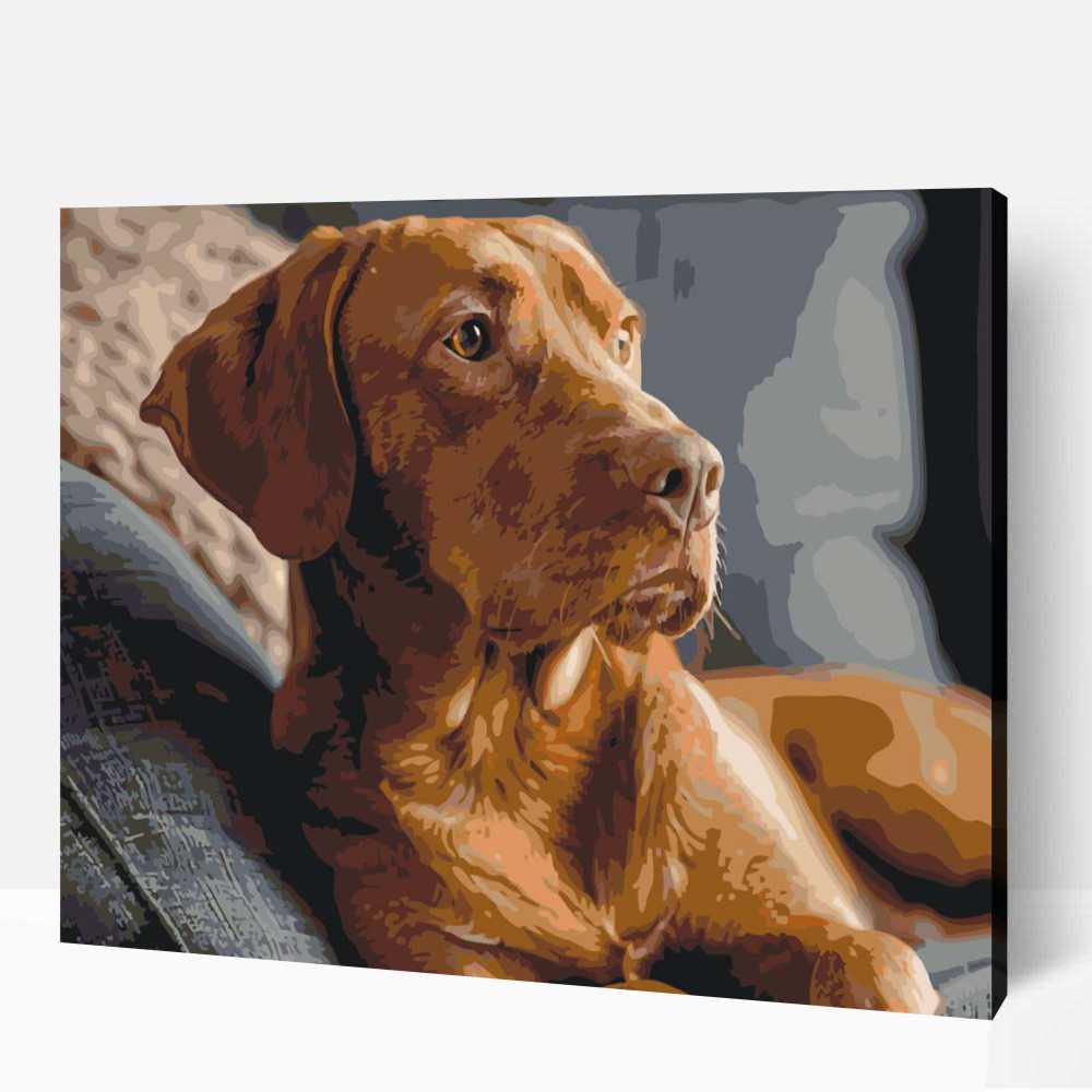 Pihenő vizsla számfestő 1 Pihenő vizsla számfestő